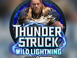 MICROGAMING